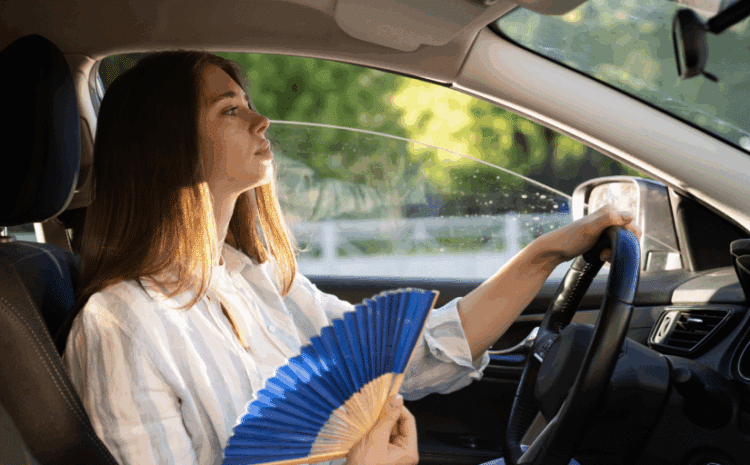 Beat the Heat: Edmonton Car Repair Services to Ensure Your Vehicle Stays Cool